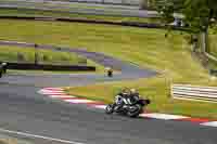 Evening Low_Mid Group Black Bikes
